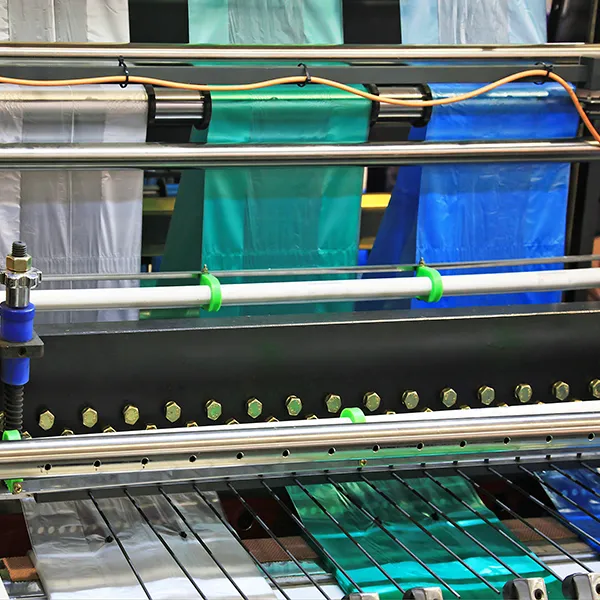 manufacture-of-plastic-bags-2024-10-12-09-11-08-utc-689f60a22e1d4